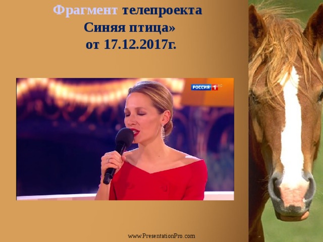 Фрагмент телепроекта  Синяя птица»  от 17.12.2017г. www.PresentationPro.com  