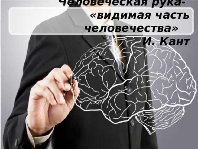  Человеческая рука- «видимая часть человечества»  И. Кант   