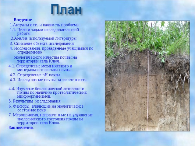 Проект исследование почвы