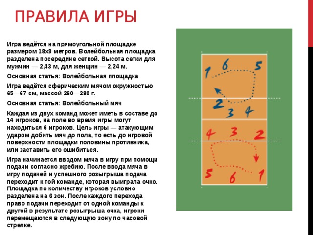 Сколько игроков в волейболе на площадке