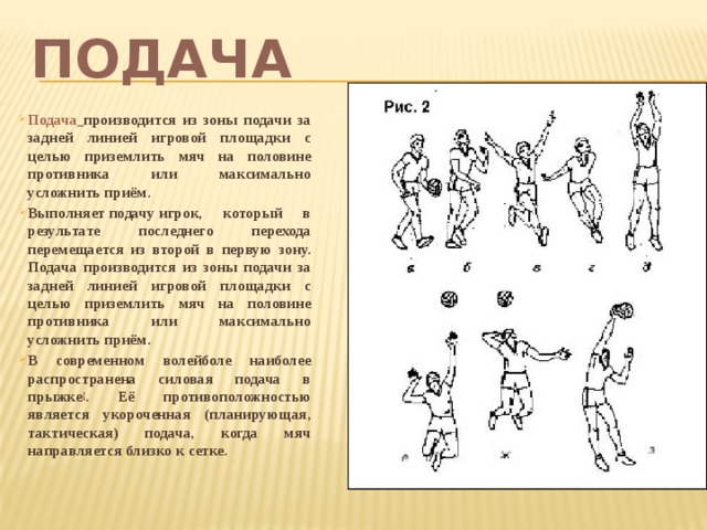 Проект развитие волейбола