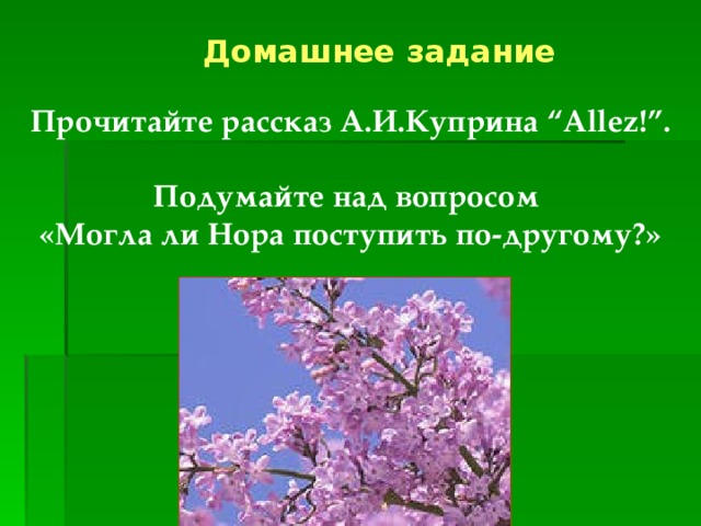 В чем суть рассказа куст сирени. Вопросы к рассказу куст сирени. Куст сирени Куприн кроссворд. Антитеза в рассказе куст сирени. Эпитеты в рассказе куст сирени.