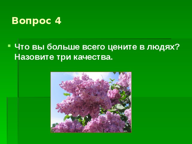 Куст сирени план кратко. Куст сирени Куприн. Вопросы куст сирени Куприн. Куст сирени иллюстрации к рассказу.