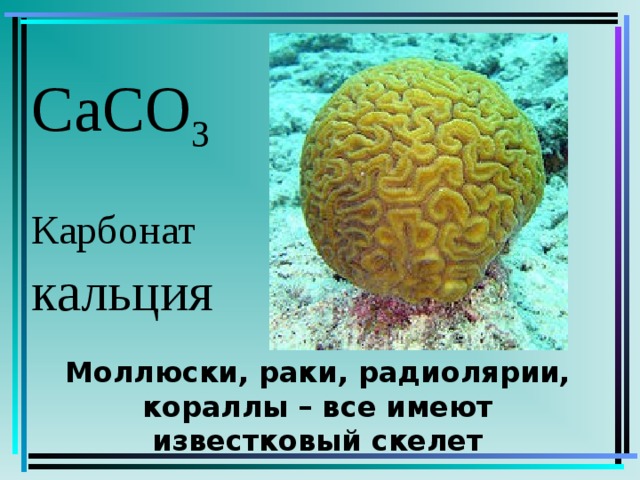 CaCO 3 Карбонат  кальция  Моллюски, раки, радиолярии, кораллы – все имеют известковый скелет