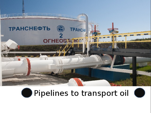 Pipelines to transport oil