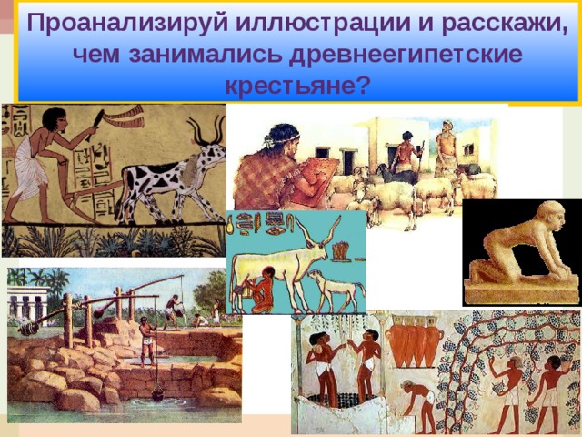 Проанализируй иллюстрации и расскажи, чем занимались древнеегипетские крестьяне? 