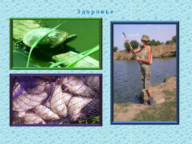 Здоровье   