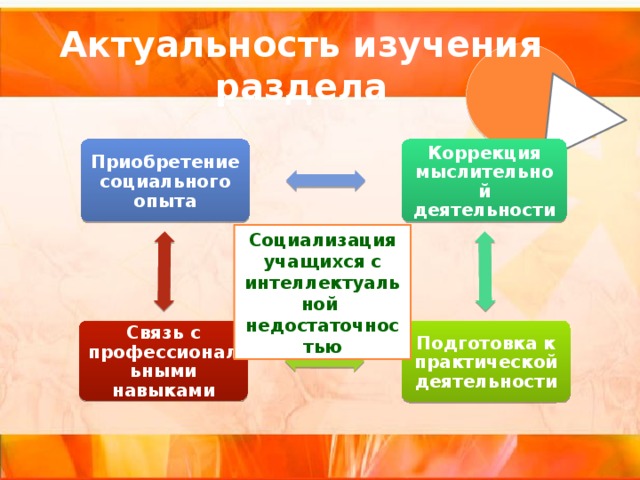 Актуальность изучения раздела Приобретение социального опыта Коррекция мыслительной деятельности Социализация учащихся с интеллектуальной недостаточностью Подготовка к практической деятельности Связь с профессиональными навыками 