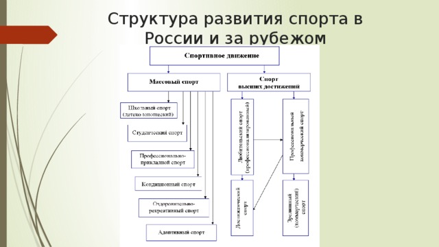 Структура движения. Структура спорта. Структура международного спортивного движения. Структура развития. Структура развития спорта.