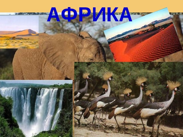 АФРИКА