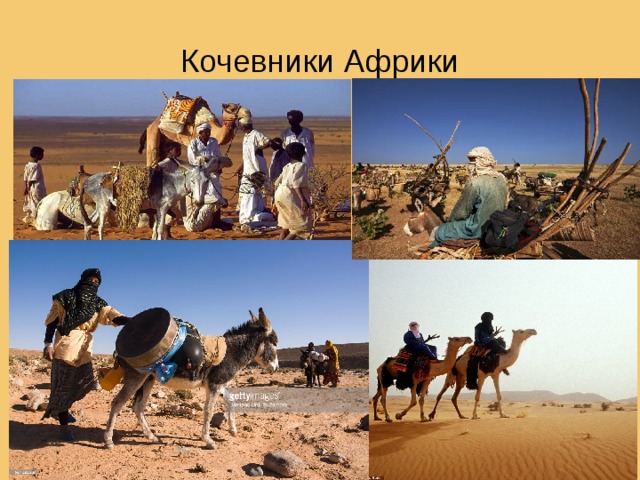 Кочевники Африки