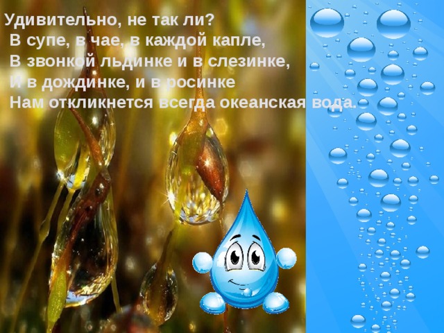 От каждой капли на воде. В каждой капле жизнь. Счастье в каждой капле. Презентация в каждой капле жизнь. И. В каждой Дождинке дождевые капли.