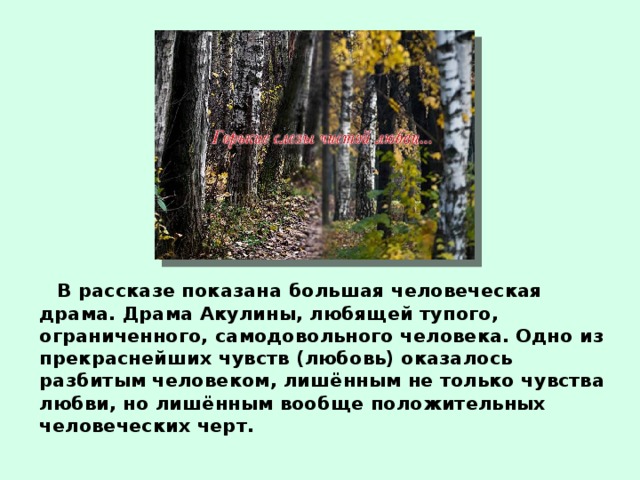 Рассказ свидание. Тургенев свидание Акулина. Урок по рассказу Тургенева свидание. Акулина из рассказа свидание. Образ Акулины в рассказе Тургенева свидание.