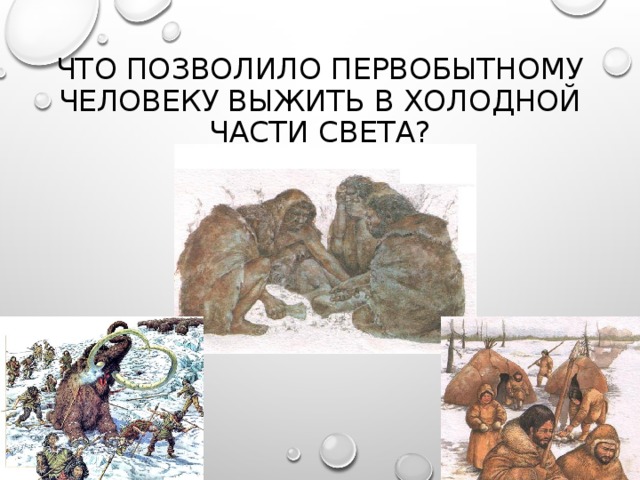 Что позволило первобытному человеку выжить в холодной части света? 