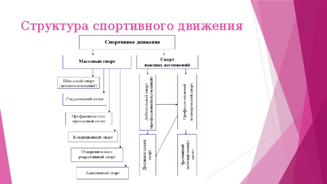 Спортивные структуры. Структура спортивных достижений. Структура международного спортивного движения. Структура современного спорта. Схема направления спортивного движения.