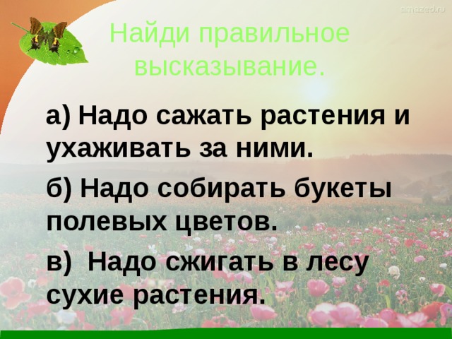 Выберите правильное высказывание ответы. Отметь правильное высказывание окружающий мир. Найдите правильное высказывание. Найди правильное высказывание 2 класс. Найди правильное высказывание звезды воздух.