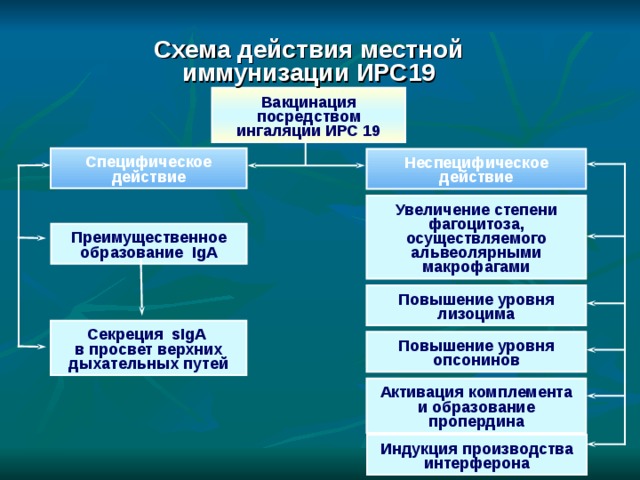 Ирс проекта это