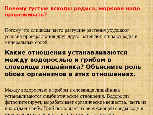 Причины густой. Почему густые всходы моркови надо прореживать. Почему густые всходы моркови и редиса нужно прореживать?. Прореживание это в биологии. Почему густые всходы моркови и свеклы надо прореживать.