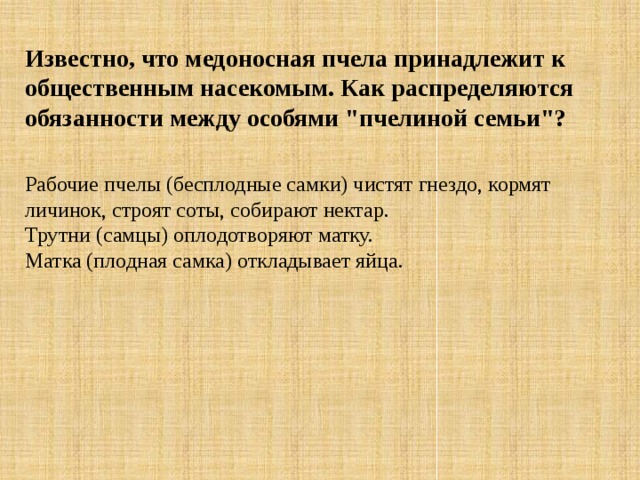 Известно, что медоносная пчела принадлежит к общественным насекомым. Как распределяются обязанности между особями 