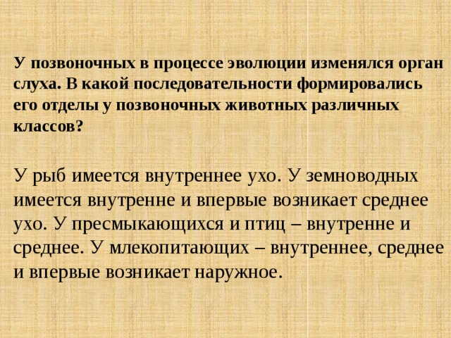 У позвоночных в процессе эволюции изменялся орган слуха. В какой последовательности формировались его отделы у позвоночных животных различных классов?  У рыб имеется внутреннее ухо. У земноводных имеется внутренне и впервые возникает среднее ухо. У пресмыкающихся и птиц – внутренне и среднее. У млекопитающих – внутреннее, среднее и впервые возникает наружное. 