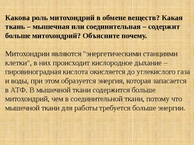 Какова роль митохондрий в обмене веществ? Какая ткань – мышечная или соединительная – содержит больше митохондрий? Объясните почему. Митохондрии являются 