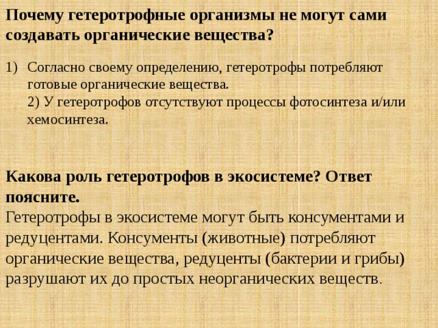 Почему гетеротрофные организмы не могут сами создавать органические вещества?  Согласно своему определению, гетеротрофы потребляют готовые органические вещества.  2) У гетеротрофов отсутствуют процессы фотосинтеза и/или хемосинтеза. Какова роль гетеротрофов в экосистеме? Ответ поясните. Гетеротрофы в экосистеме могут быть консументами и редуцентами. Консументы (животные) потребляют органические вещества, редуценты (бактерии и грибы) разрушают их до простых неорганических веществ . 