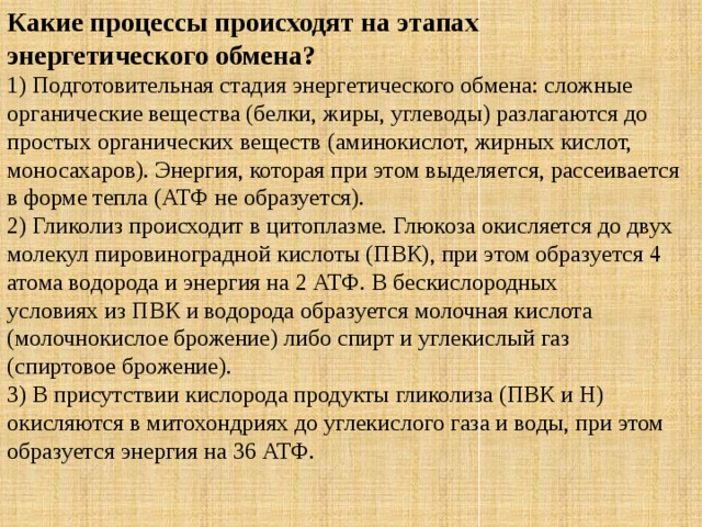 Какие процессы происходят на этапах энергетического обмена? 1) Подготовительная стадия энергетического обмена: сложные органические вещества (белки, жиры, углеводы) разлагаются до простых органических веществ (аминокислот, жирных кислот, моносахаров). Энергия, которая при этом выделяется, рассеивается в форме тепла (АТФ не образуется).  2) Гликолиз происходит в цитоплазме. Глюкоза окисляется до двух молекул пировиноградной кислоты (ПВК), при этом образуется 4 атома водорода и энергия на 2 АТФ. В бескислородных условиях из ПВК и водорода образуется молочная кислота (молочнокислое брожение) либо спирт и углекислый газ (спиртовое брожение).  3) В присутствии кислорода продукты гликолиза (ПВК и Н) окисляются в митохондриях до углекислого газа и воды, при этом образуется энергия на 36 АТФ. 