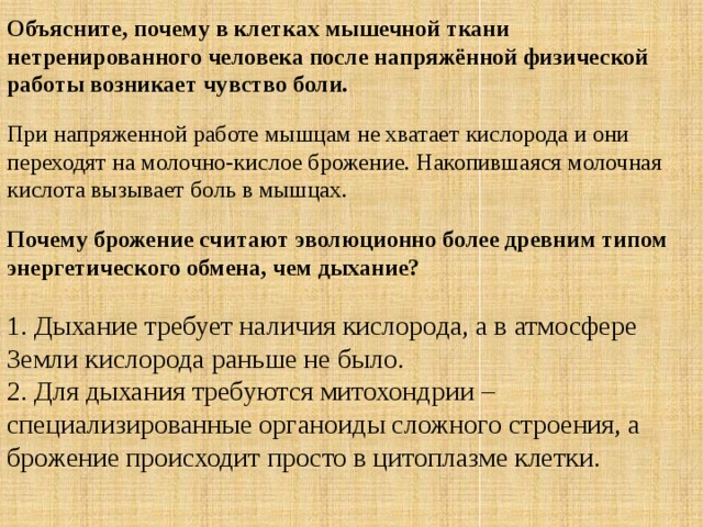 Функция ферментации. Брожение в клетках мышц. Брожение в мышцах человека. Функцию брожения в клетках мыш.