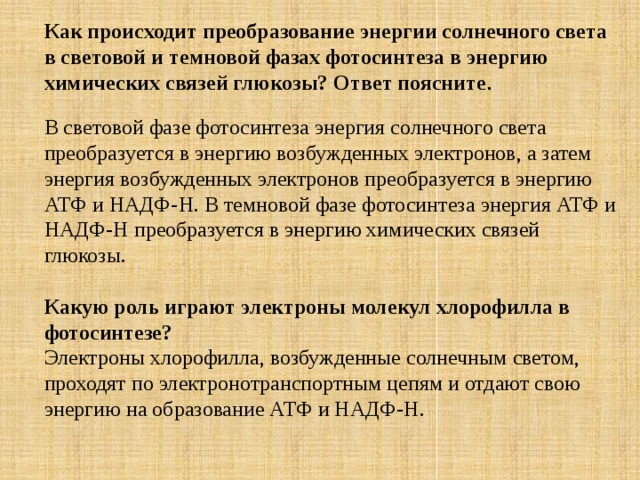 Как происходит преобразование энергии солнечного света в световой и темновой фазах фотосинтеза в энергию химических связей глюкозы? Ответ поясните .    В световой фазе фотосинтеза энергия солнечного света преобразуется в энергию возбужденных электронов, а затем энергия возбужденных электронов преобразуется в энергию АТФ и НАДФ-Н. В темновой фазе фотосинтеза энергия АТФ и НАДФ-Н преобразуется в энергию химических связей глюкозы. Какую роль играют электроны молекул хлорофилла в фотосинтезе? Электроны хлорофилла, возбужденные солнечным светом, проходят по электронотранспортным цепям и отдают свою энергию на образование АТФ и НАДФ-Н. 