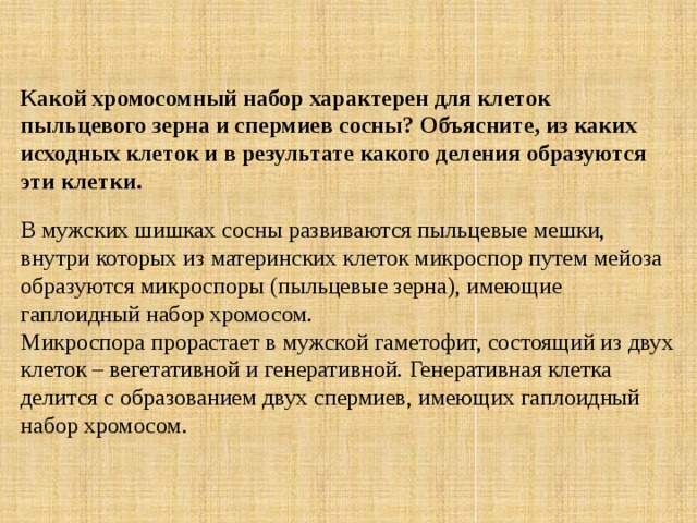 Какой хромосомный набор характерен для клеток пыльцевого зерна и спермиев сосны? Объясните, из каких исходных клеток и в результате какого деления образуются эти клетки. В мужских шишках сосны развиваются пыльцевые мешки, внутри которых из материнских клеток микроспор путем мейоза образуются микроспоры (пыльцевые зерна), имеющие гаплоидный набор хромосом. Микроспора прорастает в мужской гаметофит, состоящий из двух клеток – вегетативной и генеративной. Генеративная клетка делится с образованием двух спермиев, имеющих гаплоидный набор хромосом. 