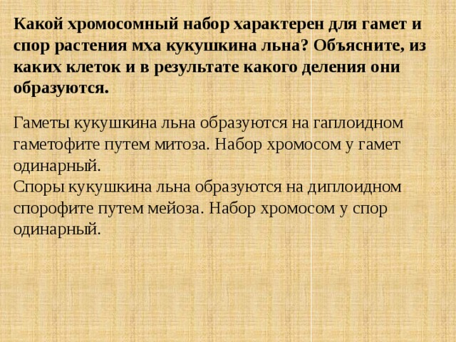 Какой хромосомный набор характерен для гамет и спор растения мха кукушкина льна? Объясните, из каких клеток и в результате какого деления они образуются. Гаметы кукушкина льна образуются на гаплоидном гаметофите путем митоза. Набор хромосом у гамет одинарный. Споры кукушкина льна образуются на диплоидном спорофите путем мейоза. Набор хромосом у спор одинарный. 