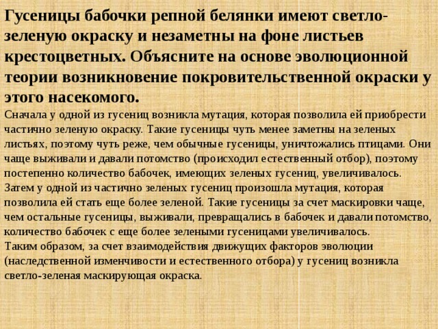 Гусеницы бабочки репной белянки имеют светло-зеленую окраску и незаметны на фоне листьев крестоцветных. Объясните на основе эволюционной теории возникновение покровительственной окраски у этого насекомого. Сначала у одной из гусениц возникла мутация, которая позволила ей приобрести частично зеленую окраску. Такие гусеницы чуть менее заметны на зеленых листьях, поэтому чуть реже, чем обычные гусеницы, уничтожались птицами. Они чаще выживали и давали потомство (происходил естественный отбор), поэтому постепенно количество бабочек, имеющих зеленых гусениц, увеличивалось.  Затем у одной из частично зеленых гусениц произошла мутация, которая позволила ей стать еще более зеленой. Такие гусеницы за счет маскировки чаще, чем остальные гусеницы, выживали, превращались в бабочек и давали потомство, количество бабочек с еще более зелеными гусеницами увеличивалось.  Таким образом, за счет взаимодействия движущих факторов эволюции (наследственной изменчивости и естественного отбора) у гусениц возникла светло-зеленая маскирующая окраска. 