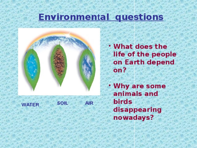 Environmen t al questions  What does the life of the people on Earth depend on?  Why are some animals and birds disappearing nowadays? SOIL AIR WATER 