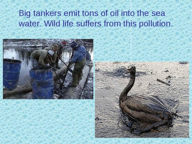 Oil spills  This is the result of human activities: oil spills. Polluted water also causes water animals to die. 
