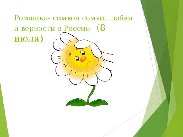 Ромашка- символ семьи, любви и верности в России (8 июля) 