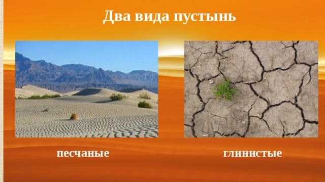 Два вида пустынь песчаные глинистые 