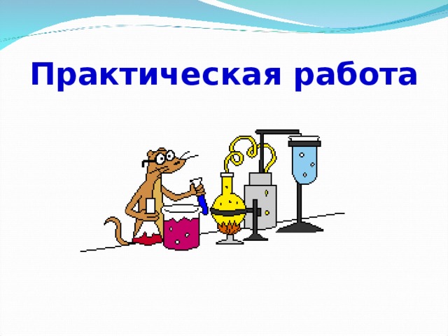 Практическая работа