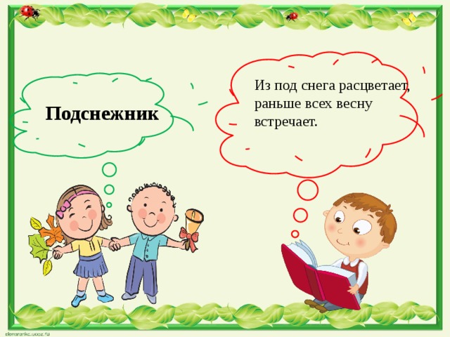 Из под снега расцветает, раньше всех весну встречает.  Подснежник 