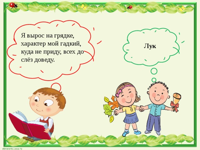  Я вырос на грядке, характер мой гадкий, куда не приду, всех до слёз доведу. Лук 