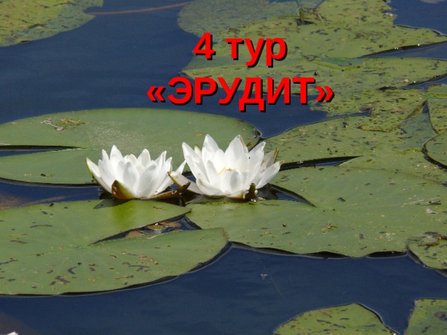 4 тур «ЭРУДИТ» 