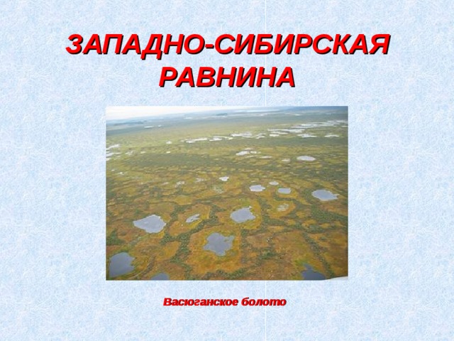 ЗАПАДНО-СИБИРСКАЯ РАВНИНА Васюганское болото 