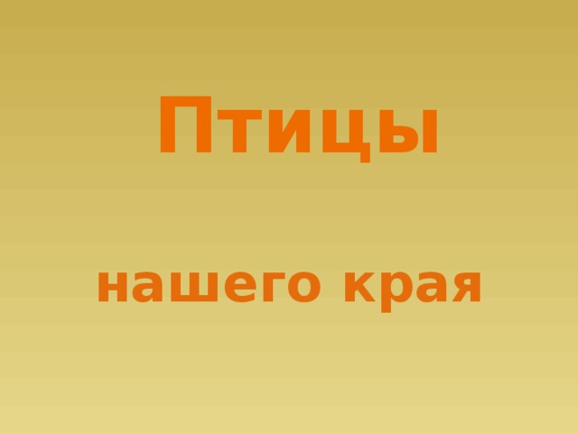 Птицы нашего края 