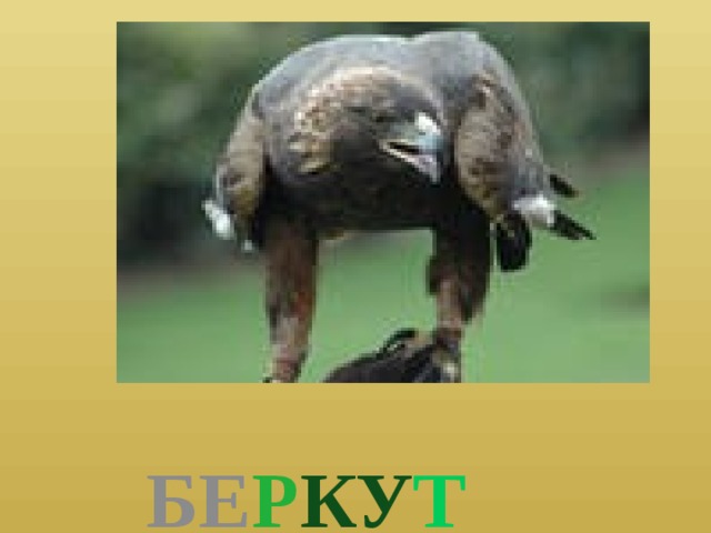  БЕ Р КУ Т 