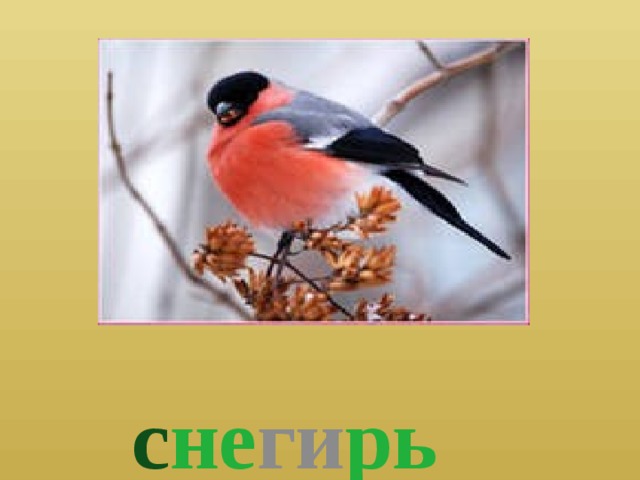  с не ги рь 