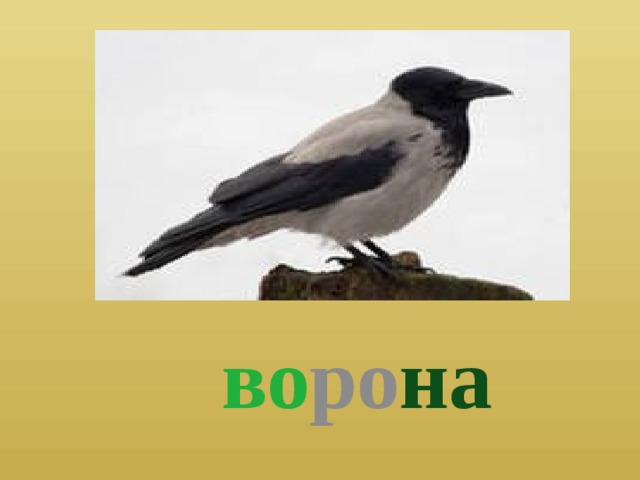  во ро на 