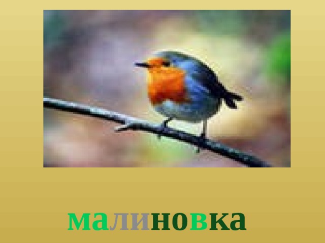  ма ли но в ка 