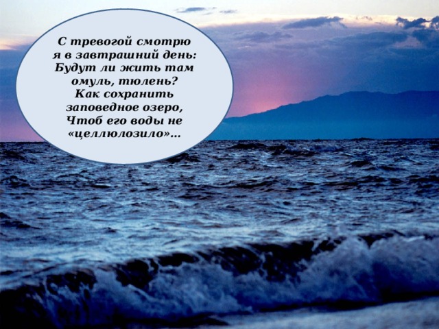 С тревогой смотрю я в завтрашний день:  Будут ли жить там омуль, тюлень?  Как сохранить заповедное озеро,  Чтоб его воды не «целлюлозило»… . 