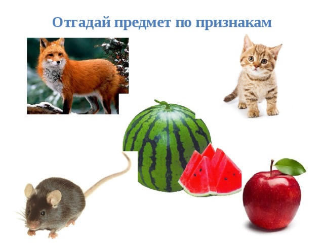Отгадай предмет по признакам   