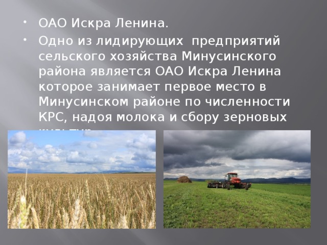 ОАО Искра Ленина. Одно из лидирующих предприятий сельского хозяйства Минусинского района является ОАО Искра Ленина которое занимает первое место в Минусинском районе по численности КРС, надоя молока и сбору зерновых культур. 
