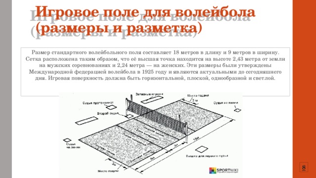 Поли стандарт